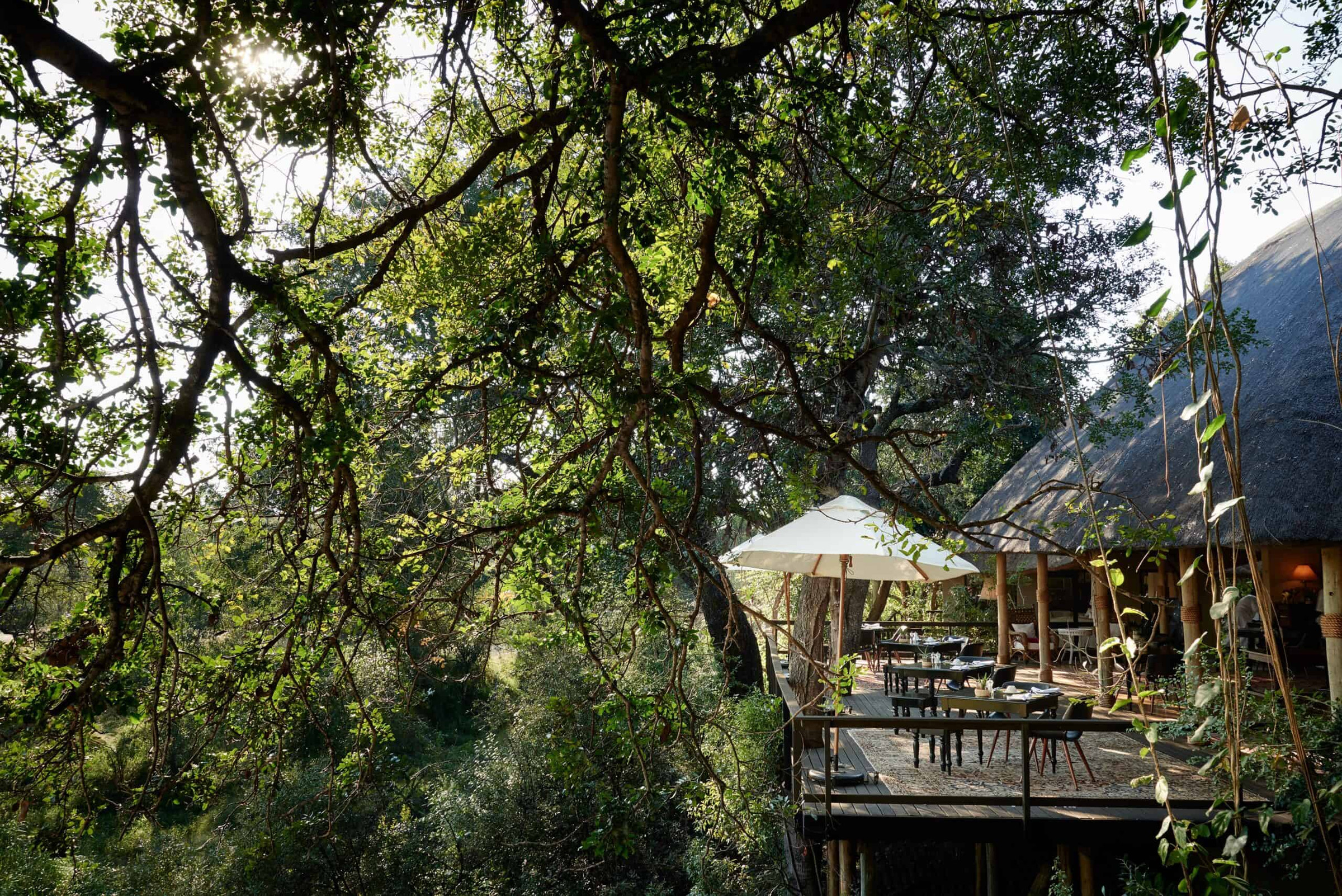 Royal Malewane Malewane Lodge en Kruger National Park