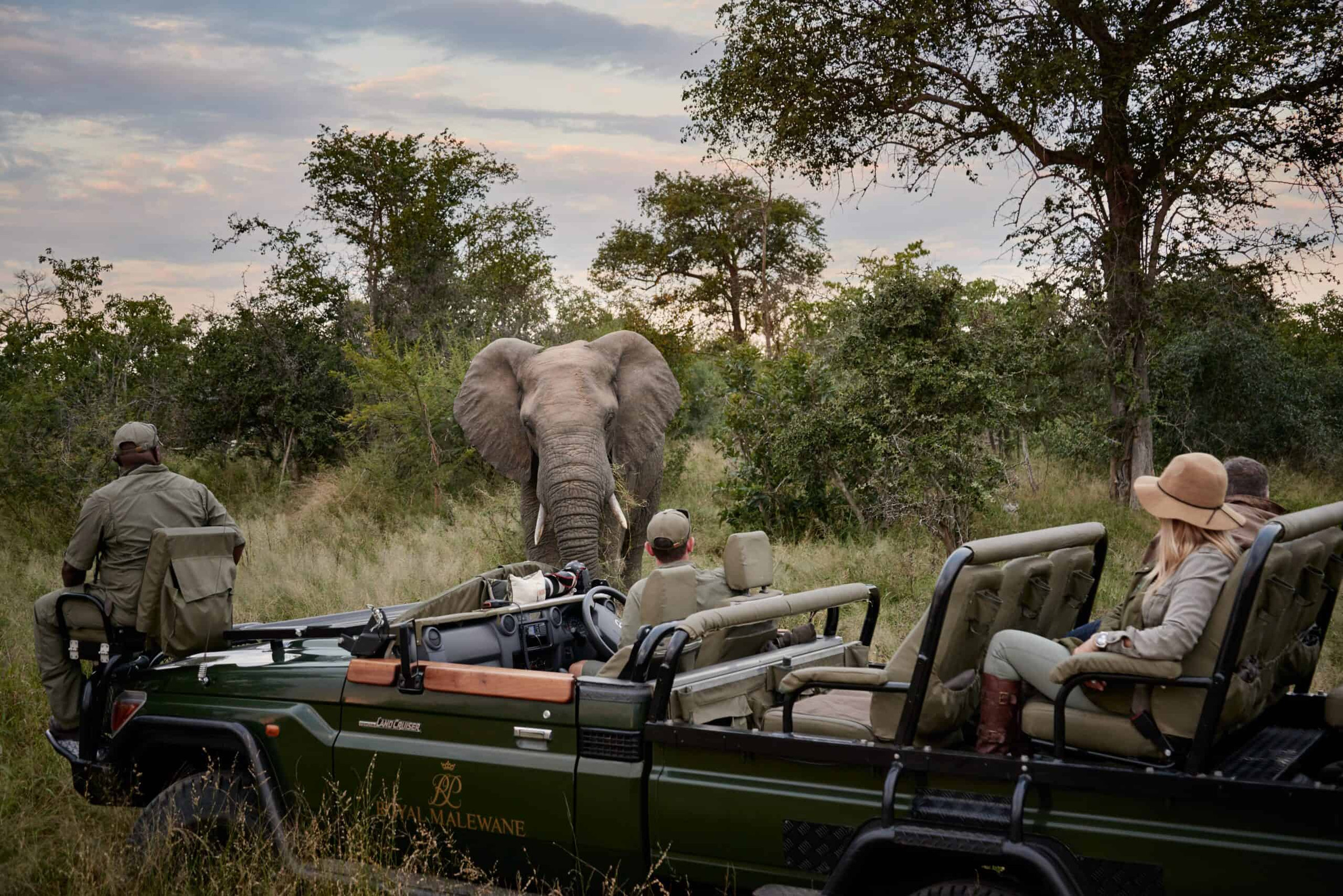 Royal Malewane Malewane Lodge en Kruger National Park