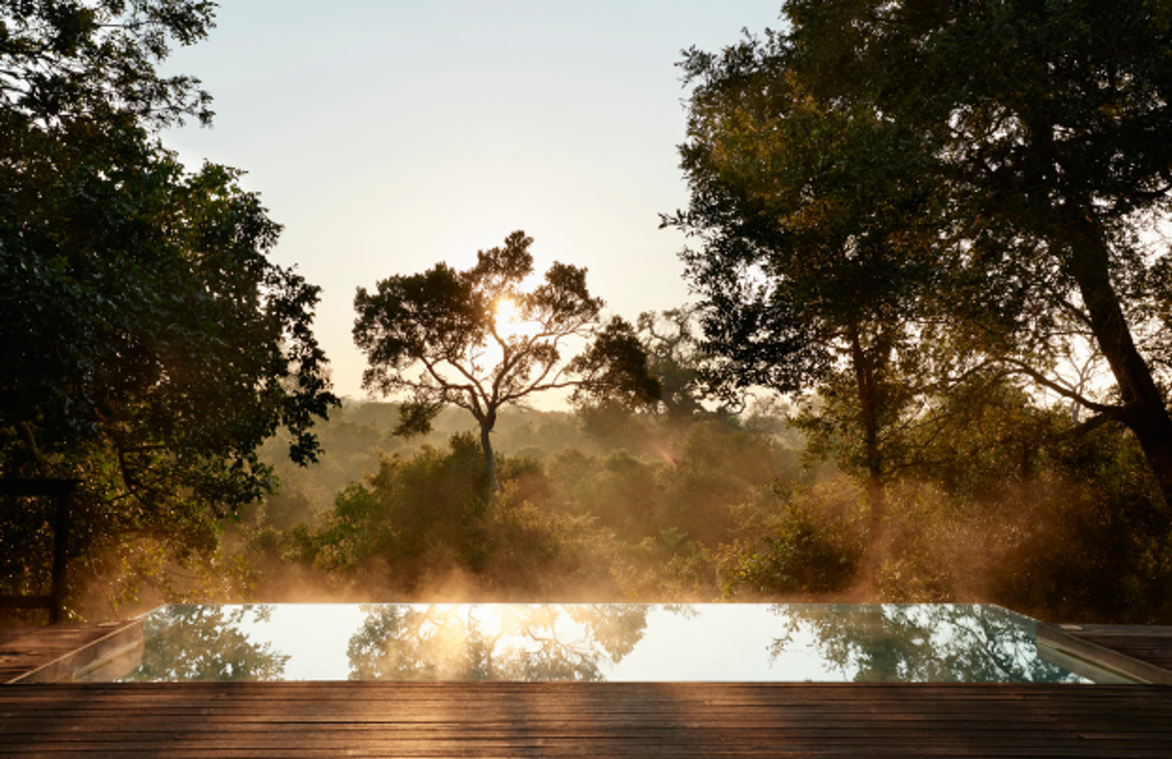 Royal Malewane Malewane Lodge en Kruger National Park