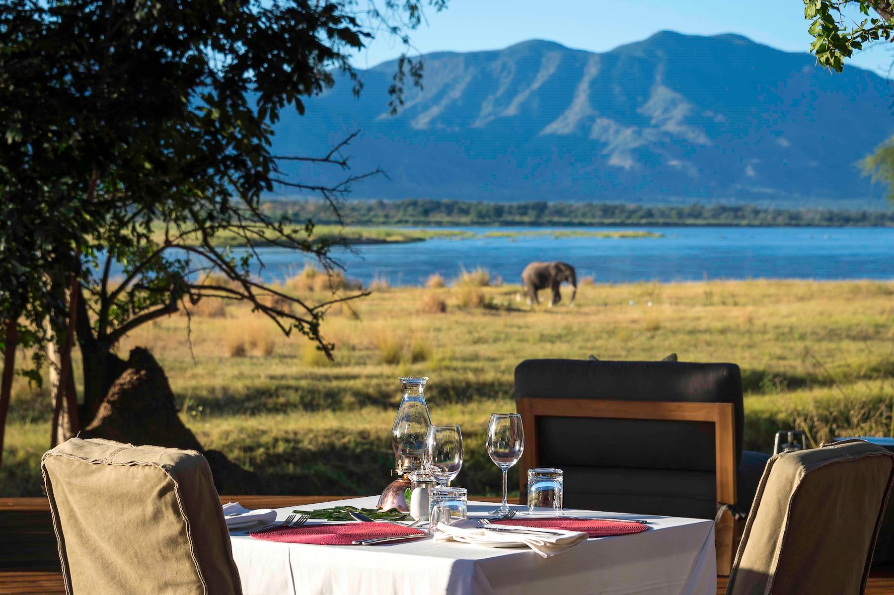 Ruckomechi Camp en Mana Pools