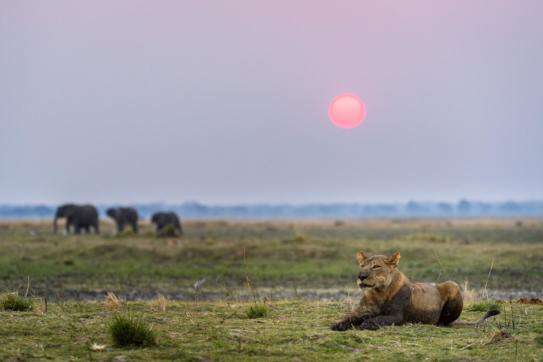 Ruckomechi Camp en Mana Pools