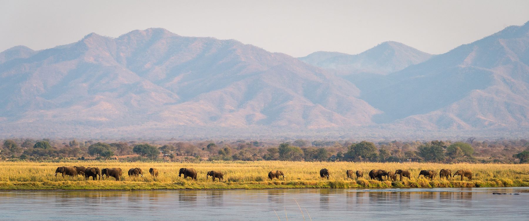 Ruckomechi Camp en Mana Pools