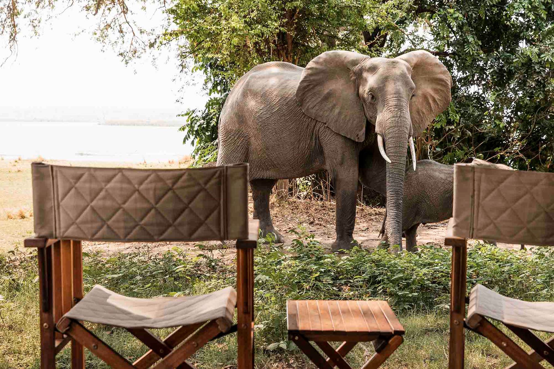 Ruckomechi Camp en Mana Pools