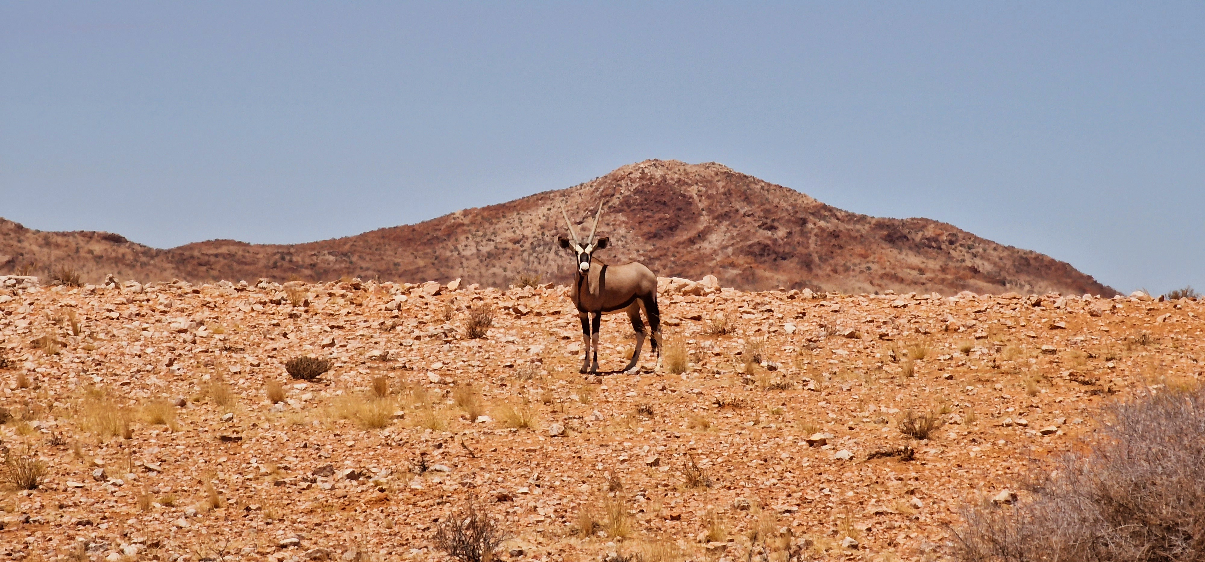 Sandfontein Lodge and Nature Reserve | LAT.40
