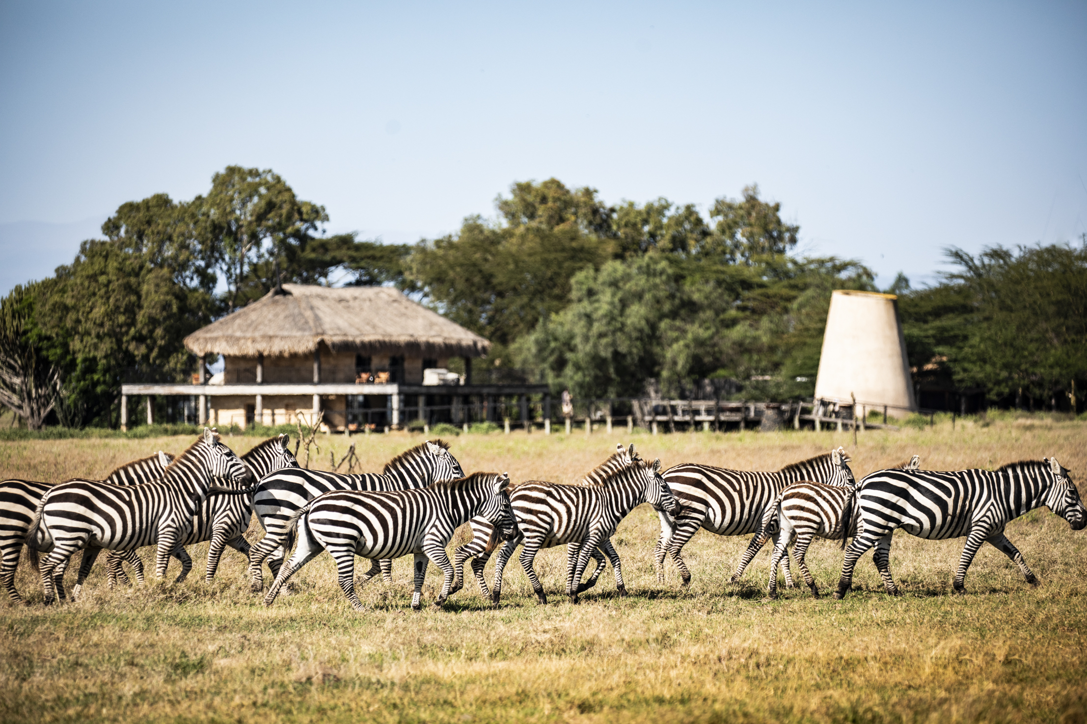 Segera Retreat en Laikipia 