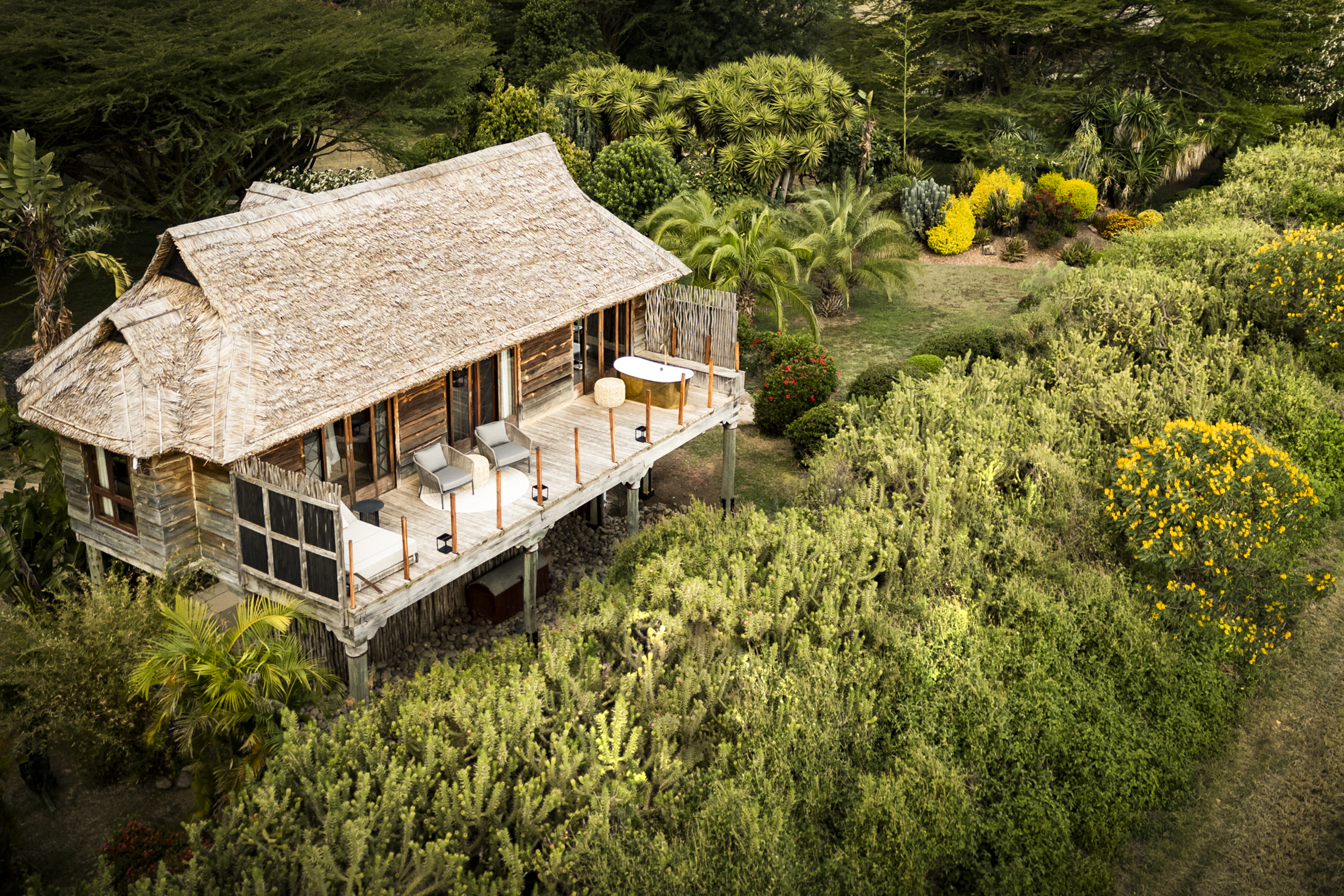 Segera Retreat en Laikipia 