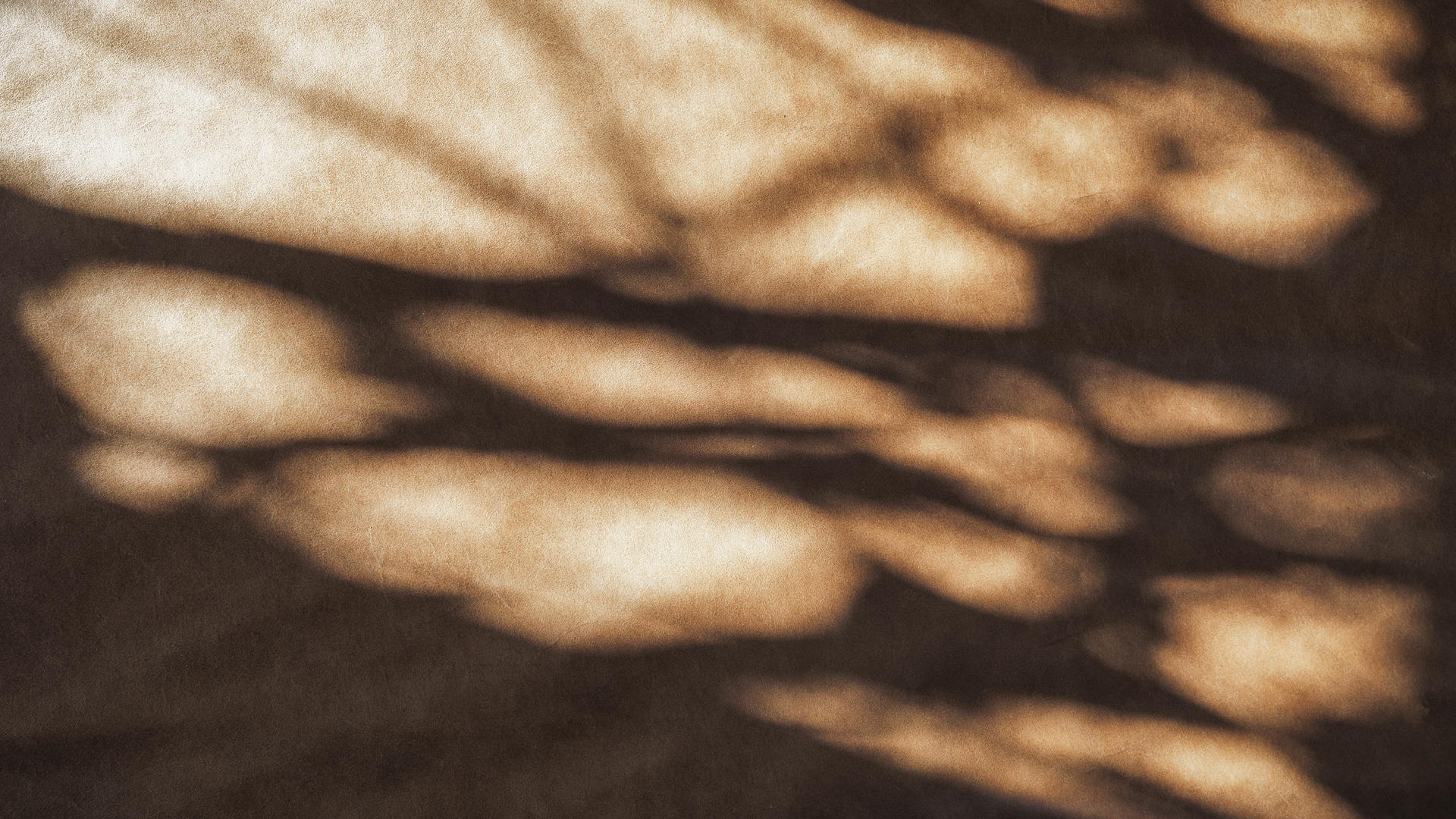 1741157043692 leathertexture%26amp%3bshadows