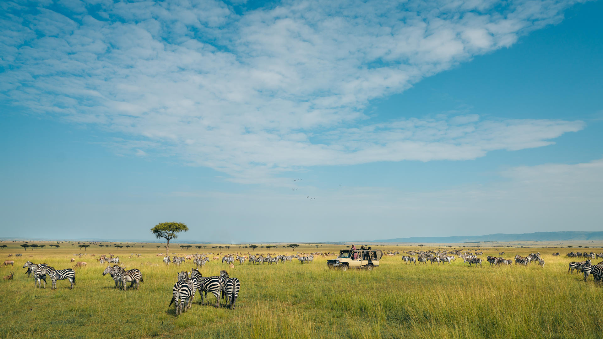 Serian's Serengeti Lamai en Serengeti