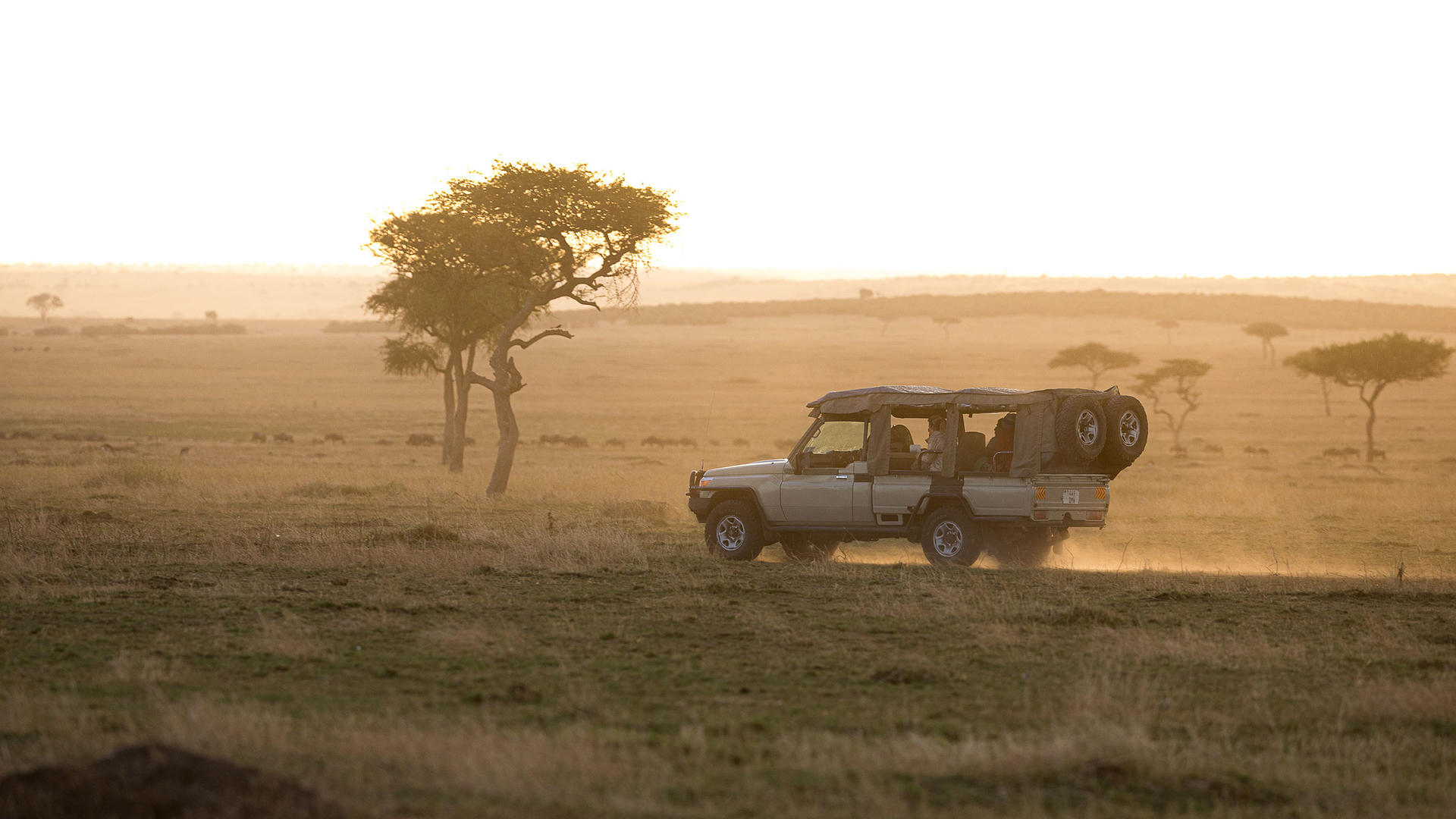 Lamai activities game drive 11