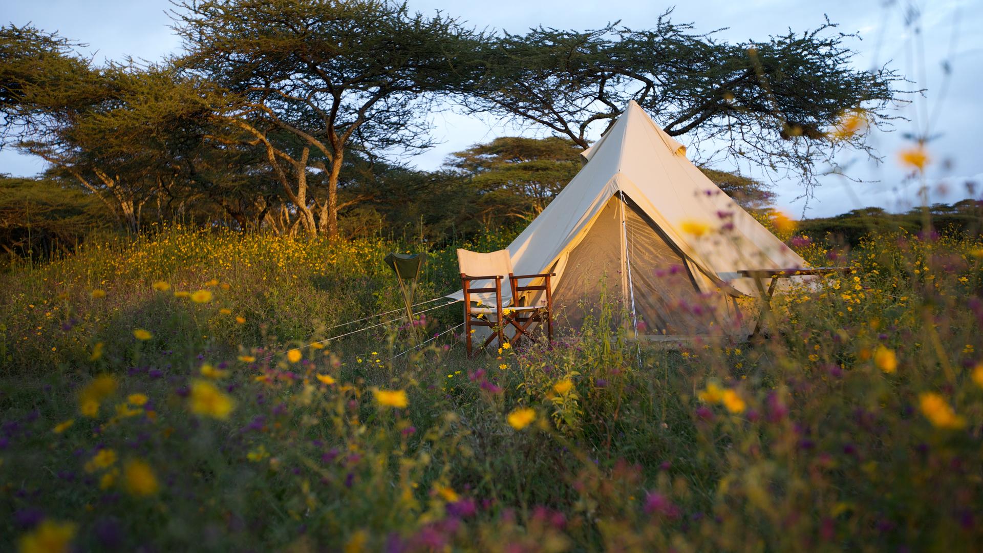 Serian's Serengeti South en su destino