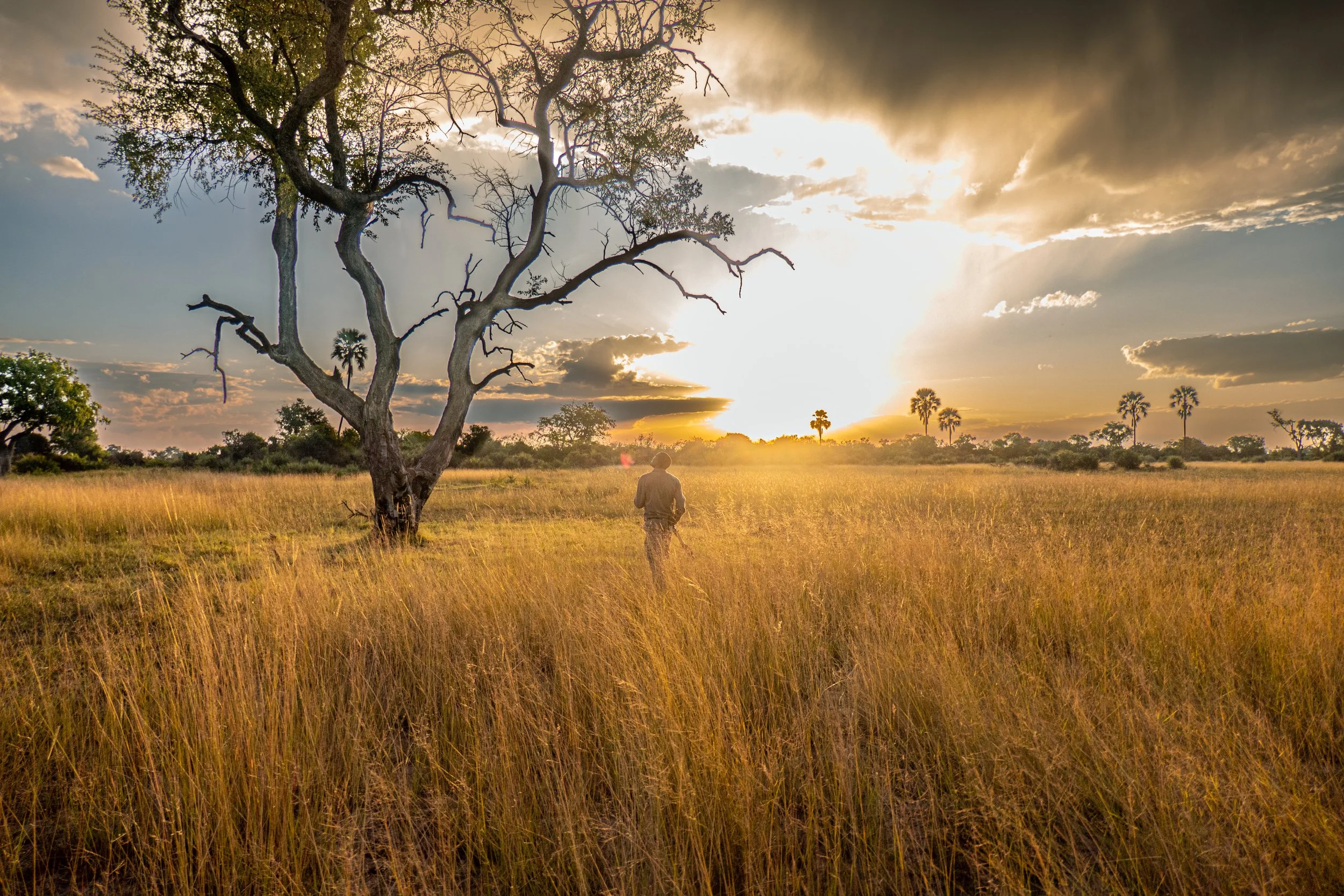 Setari Camp en Delta Okavango