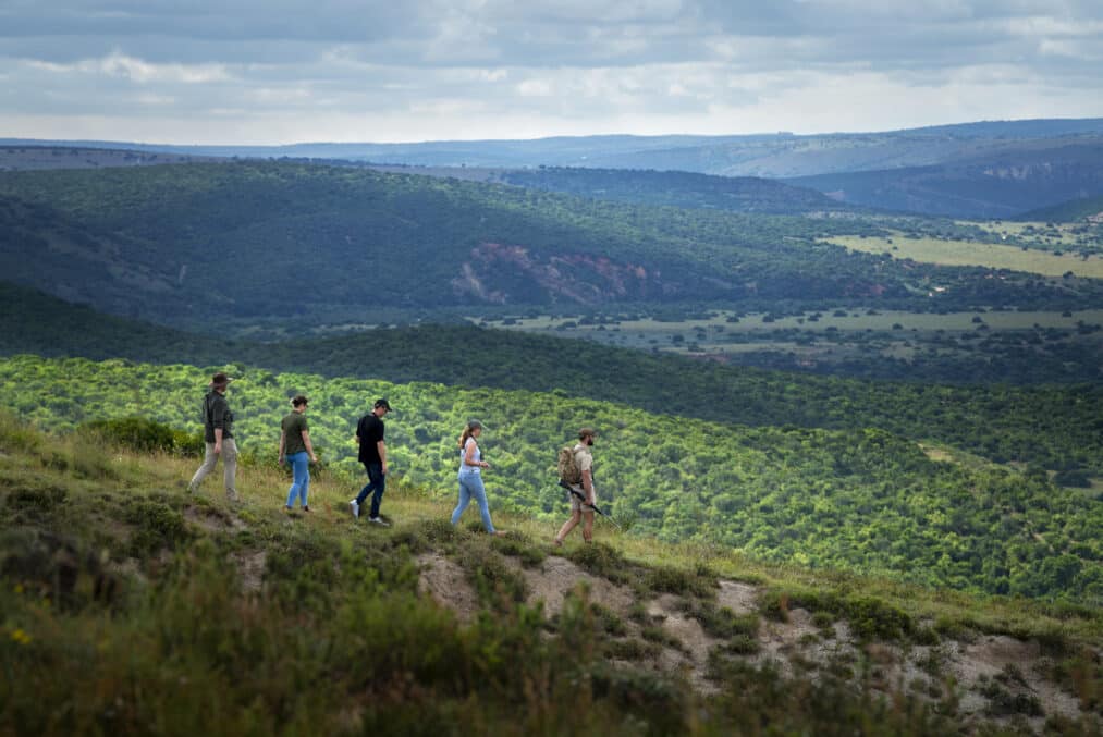 Walking safari with view of reserve 1