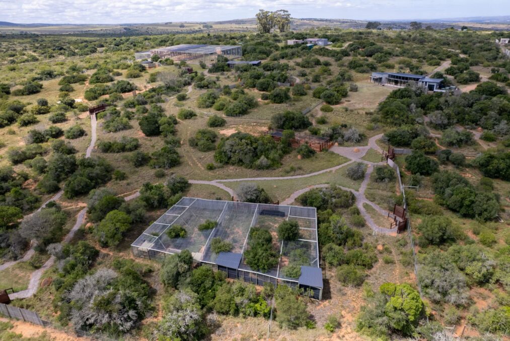 Spgr shamwari foundation