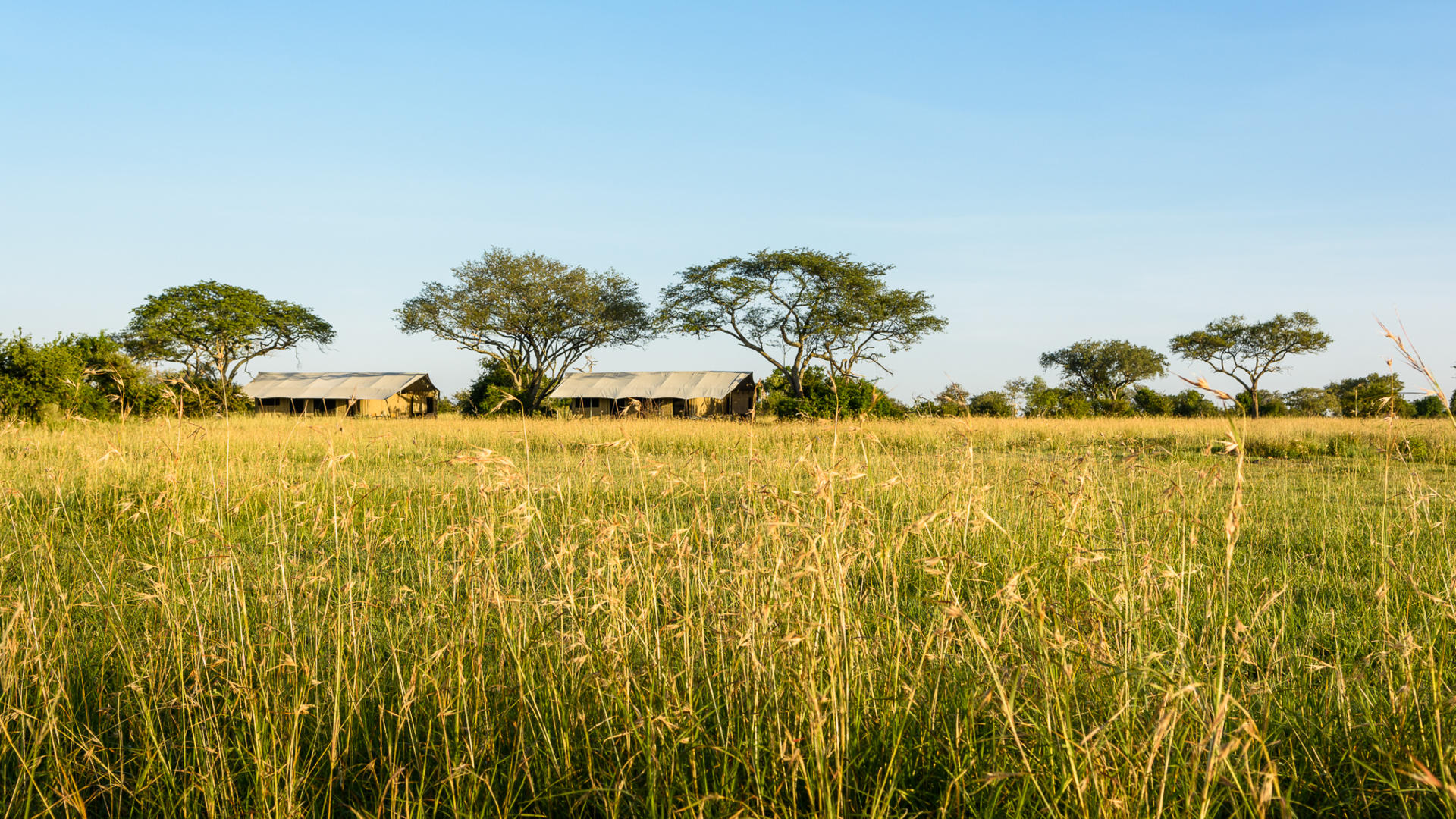 Singita Explore en su destino