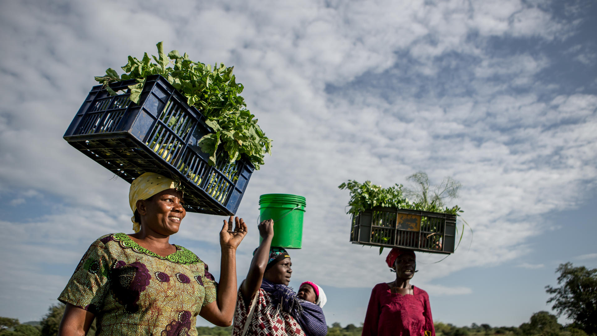 Grumeti conservation ghomacos water walking in field with vegetables for market karin schermbrucker 2
