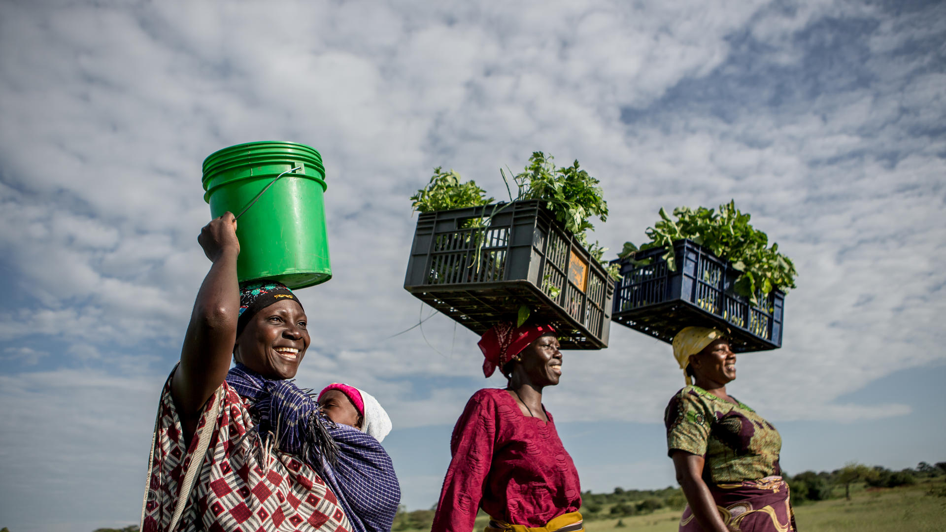 Grumeti conservation ghomacos water walking in field with vegetables for market karin schermbrucker 3
