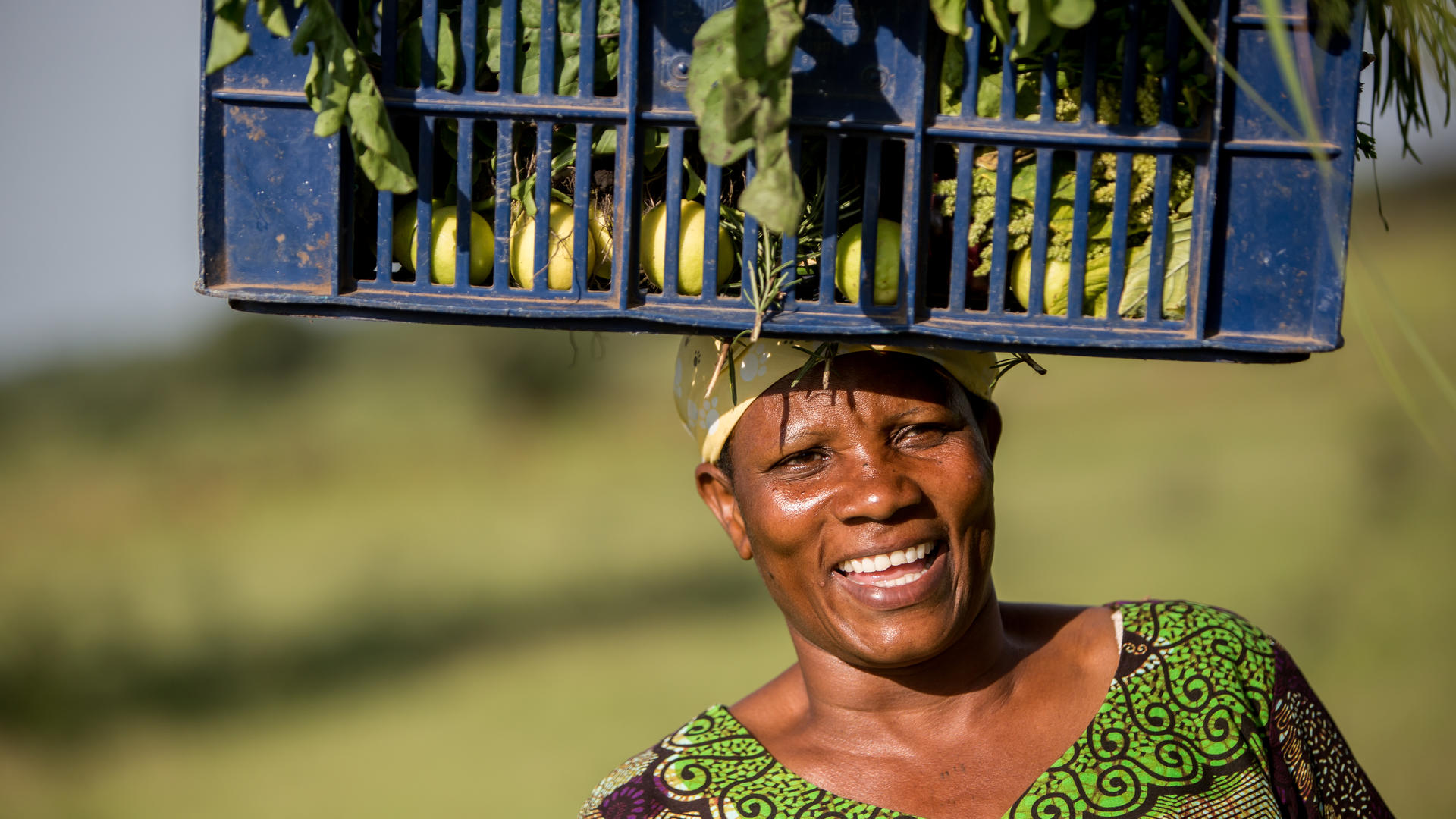 Grumeti conservation ghomacos water walking in field with vegetables for market karin schermbrucker 13