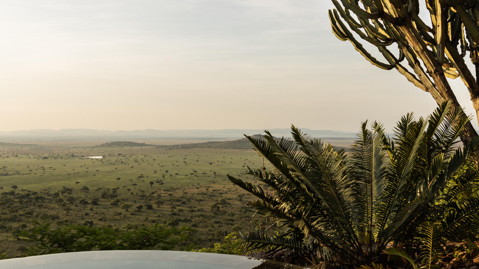 1744277066582 singita kilima main suite pool 3