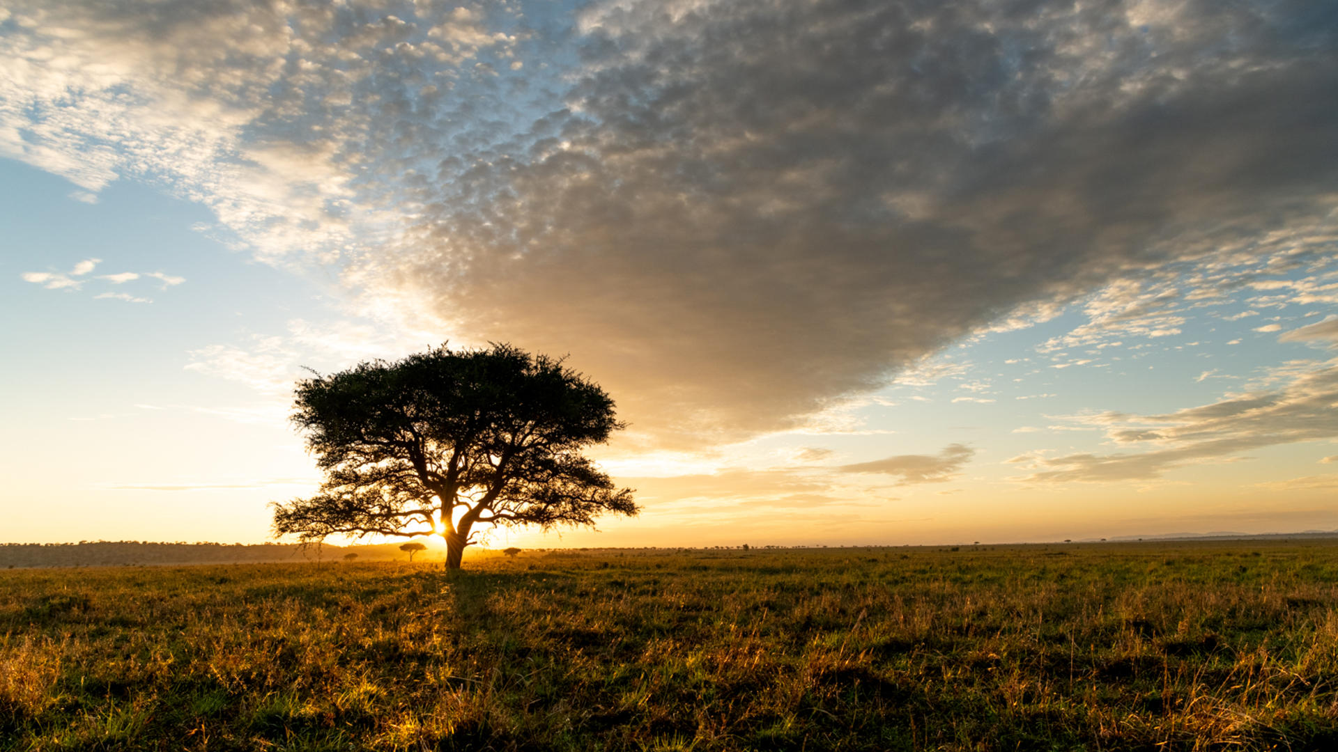 Singita Kilima en Serengeti