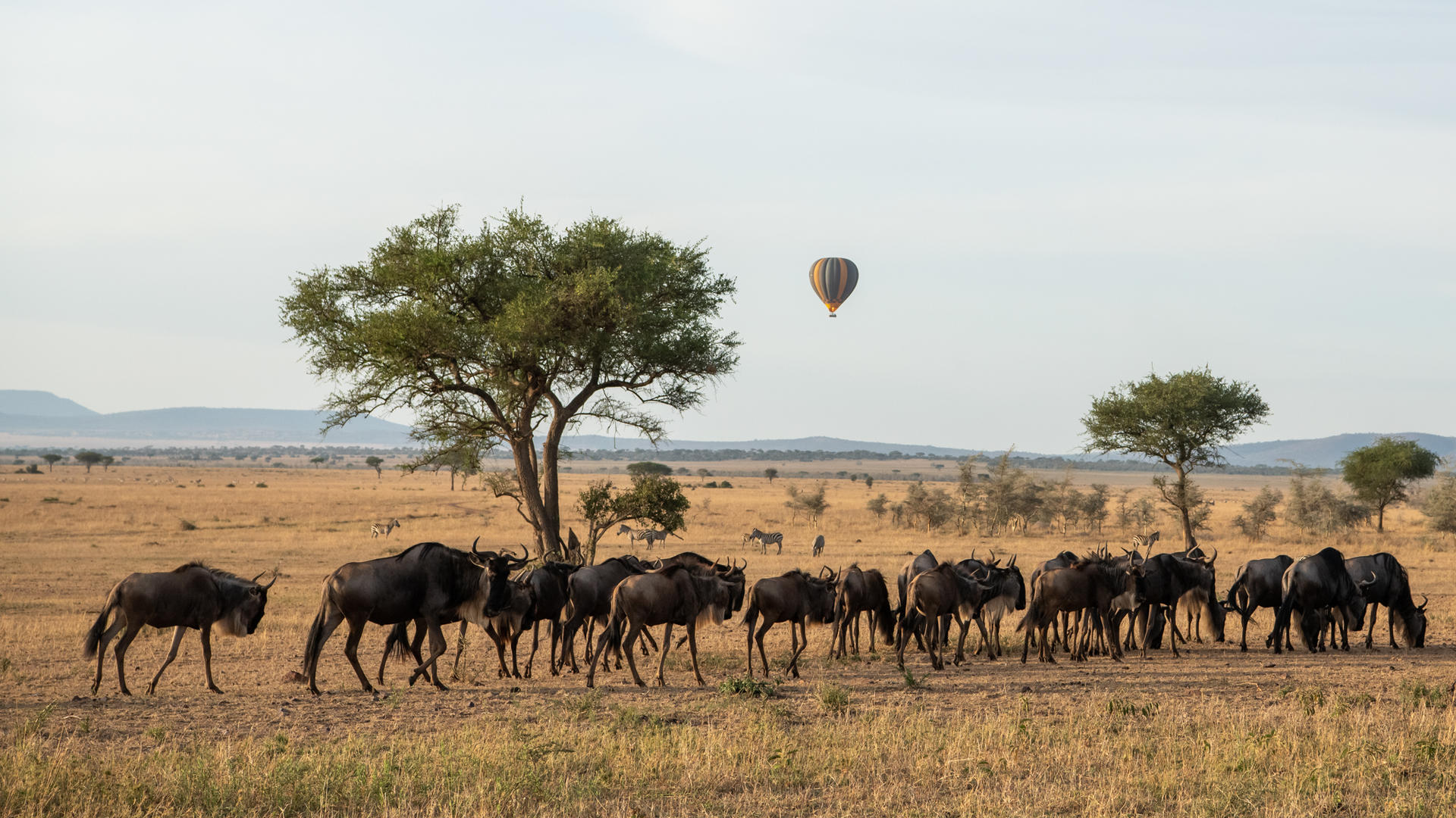 Singita Kilima en Serengeti