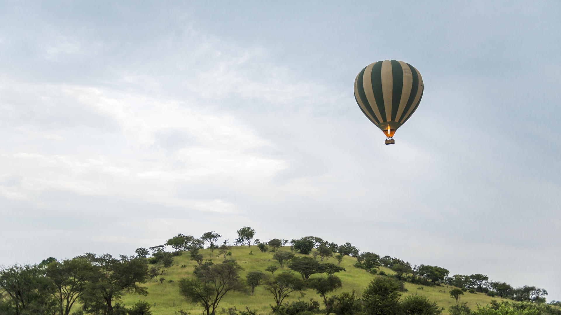 1765275605683singita serengeti experiences19
