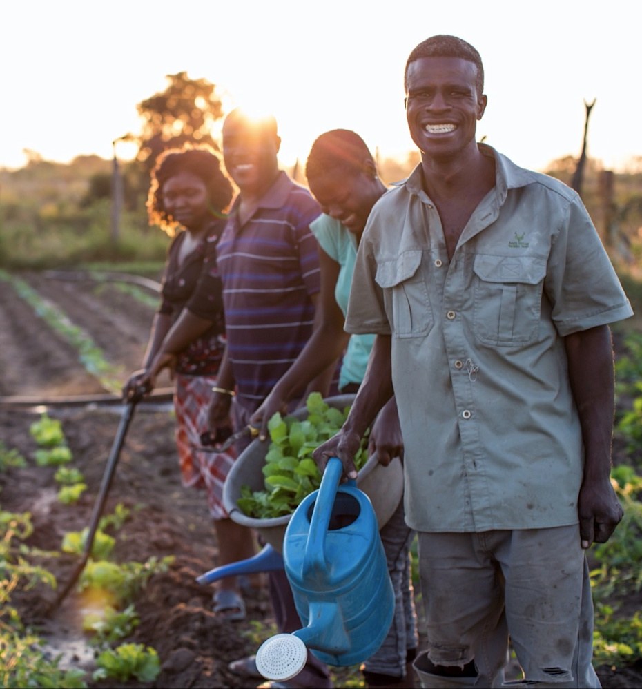 Ebony conservation partner