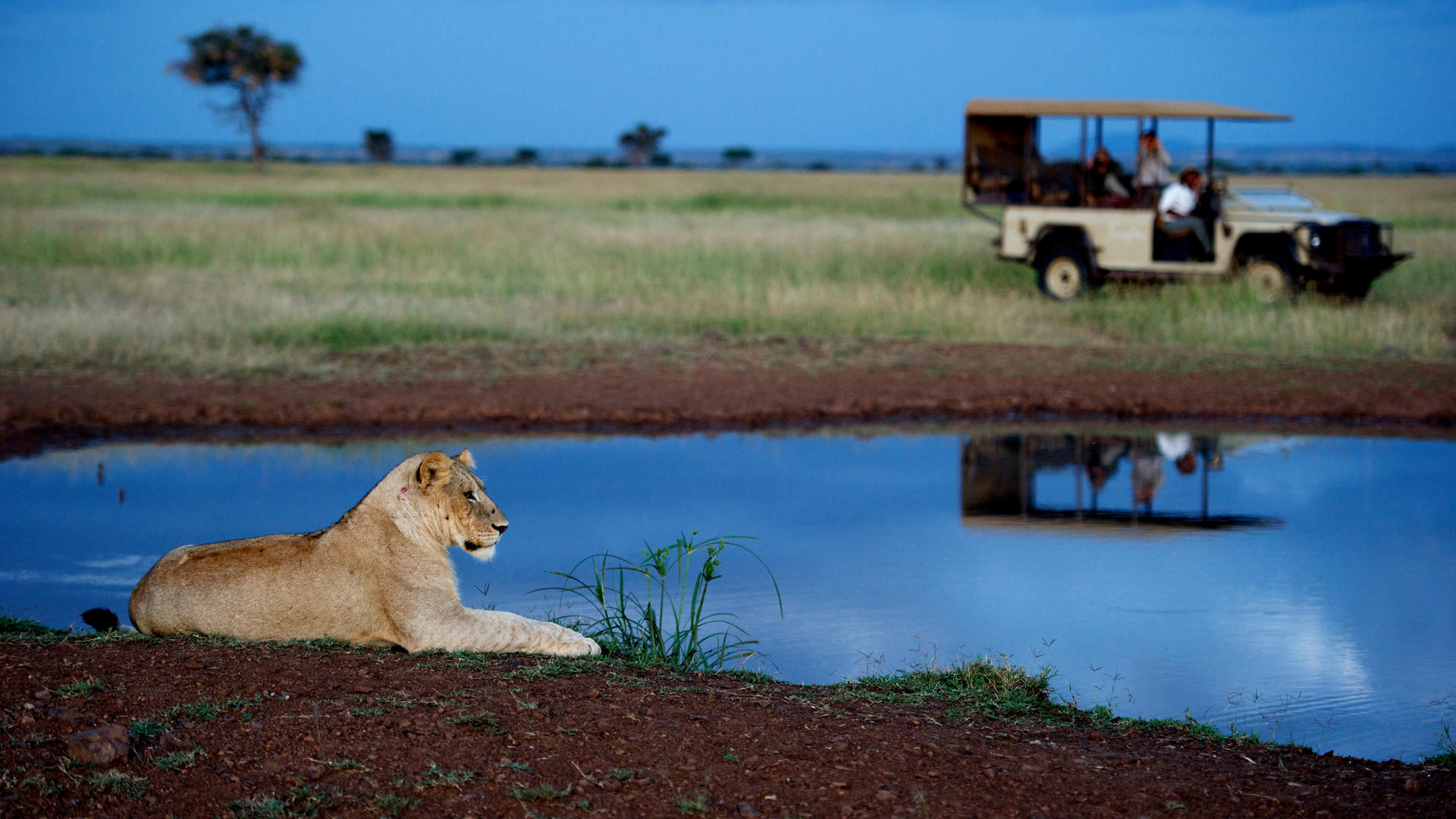 Sgr wildlife 8