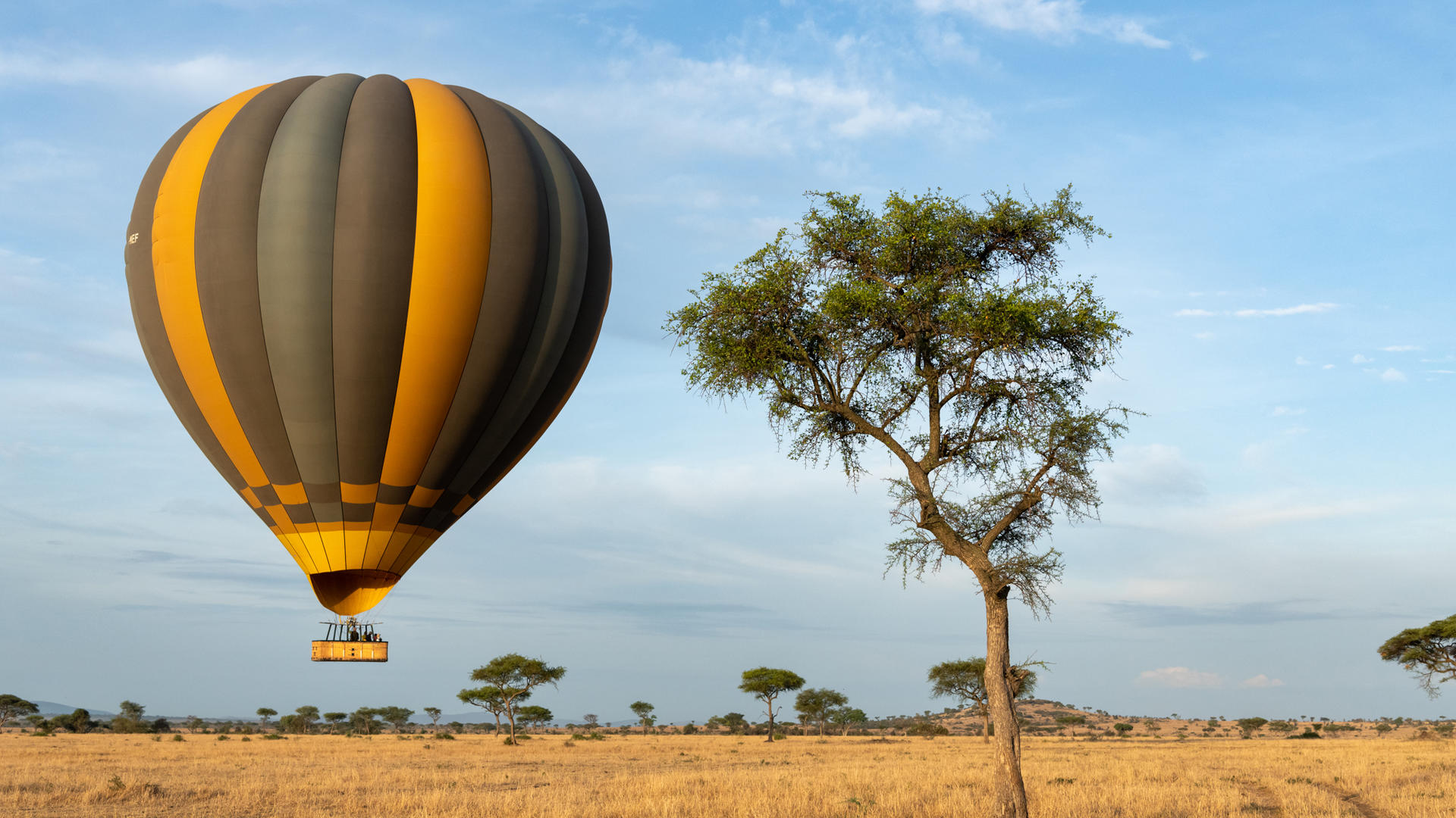 Sgr activities hot air balloon in flight two tracks ross couper 1 6