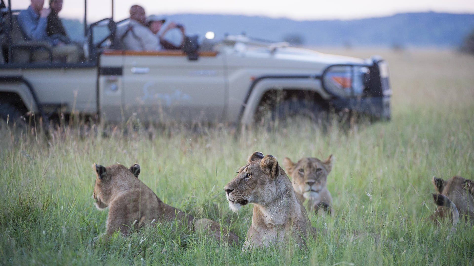 Singita grumeti wildlife mike sutherland