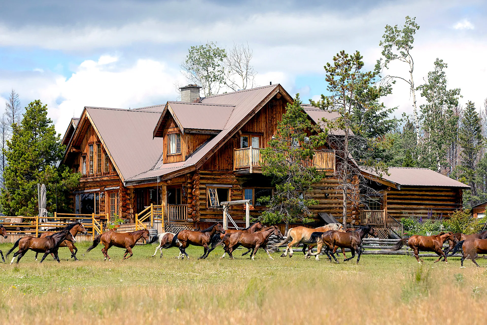 Horses galloping by lodge at siwash lake jpg