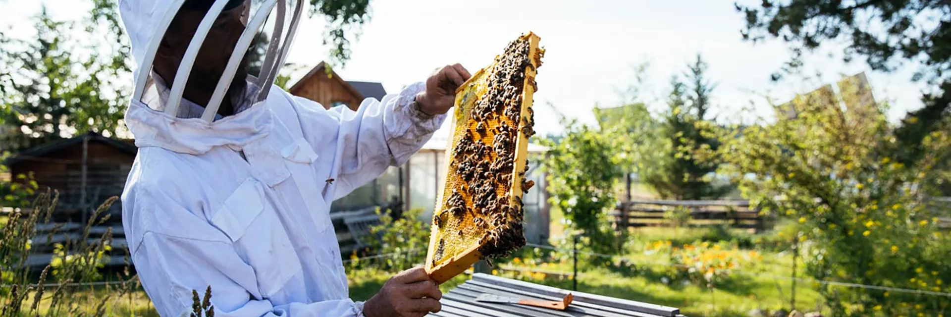 Beekepper header jpg