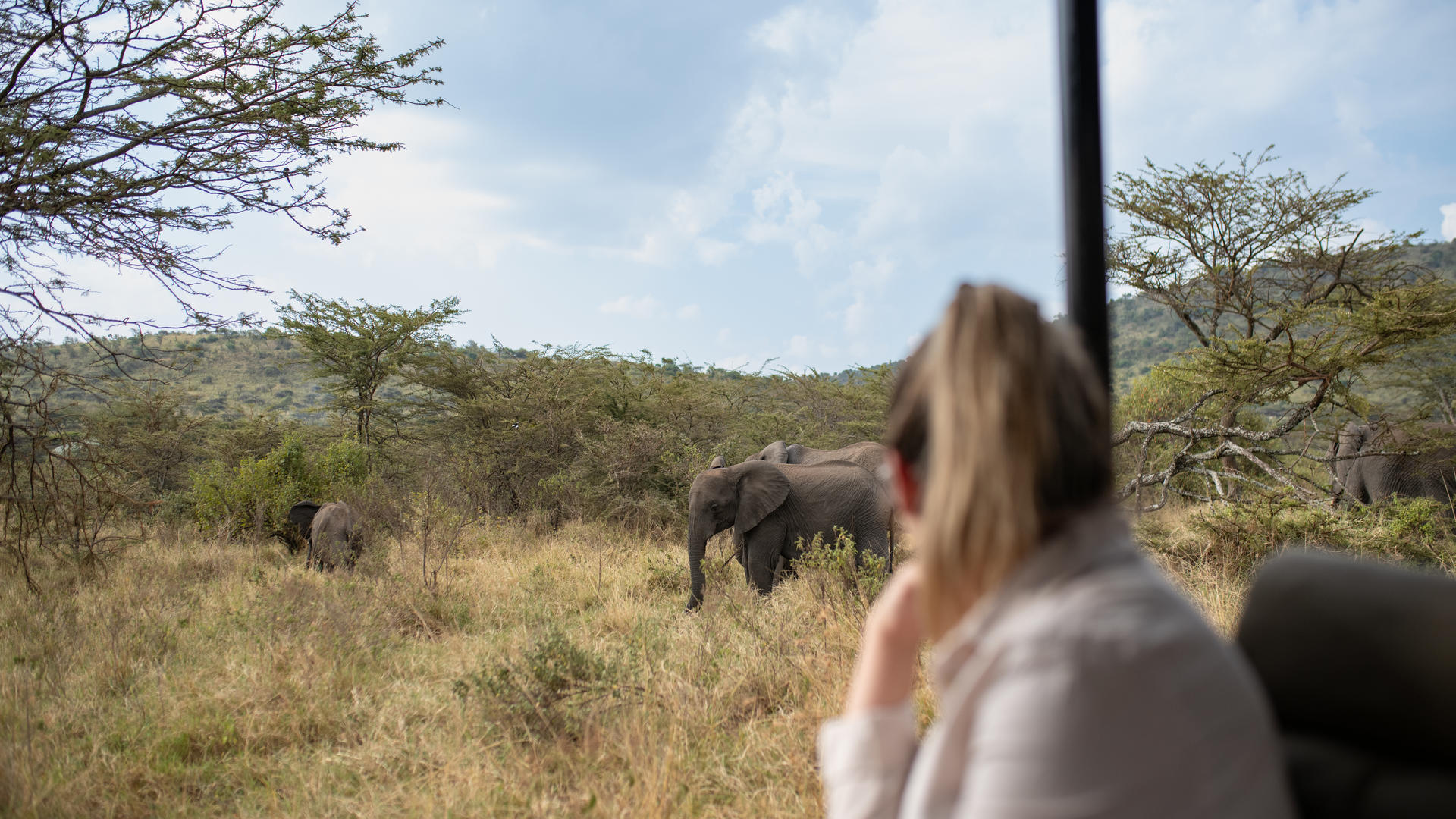 1755167109596taasa lodge safari 15