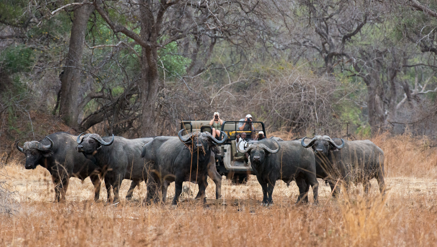 Tafika Camp en Luangwa Valley