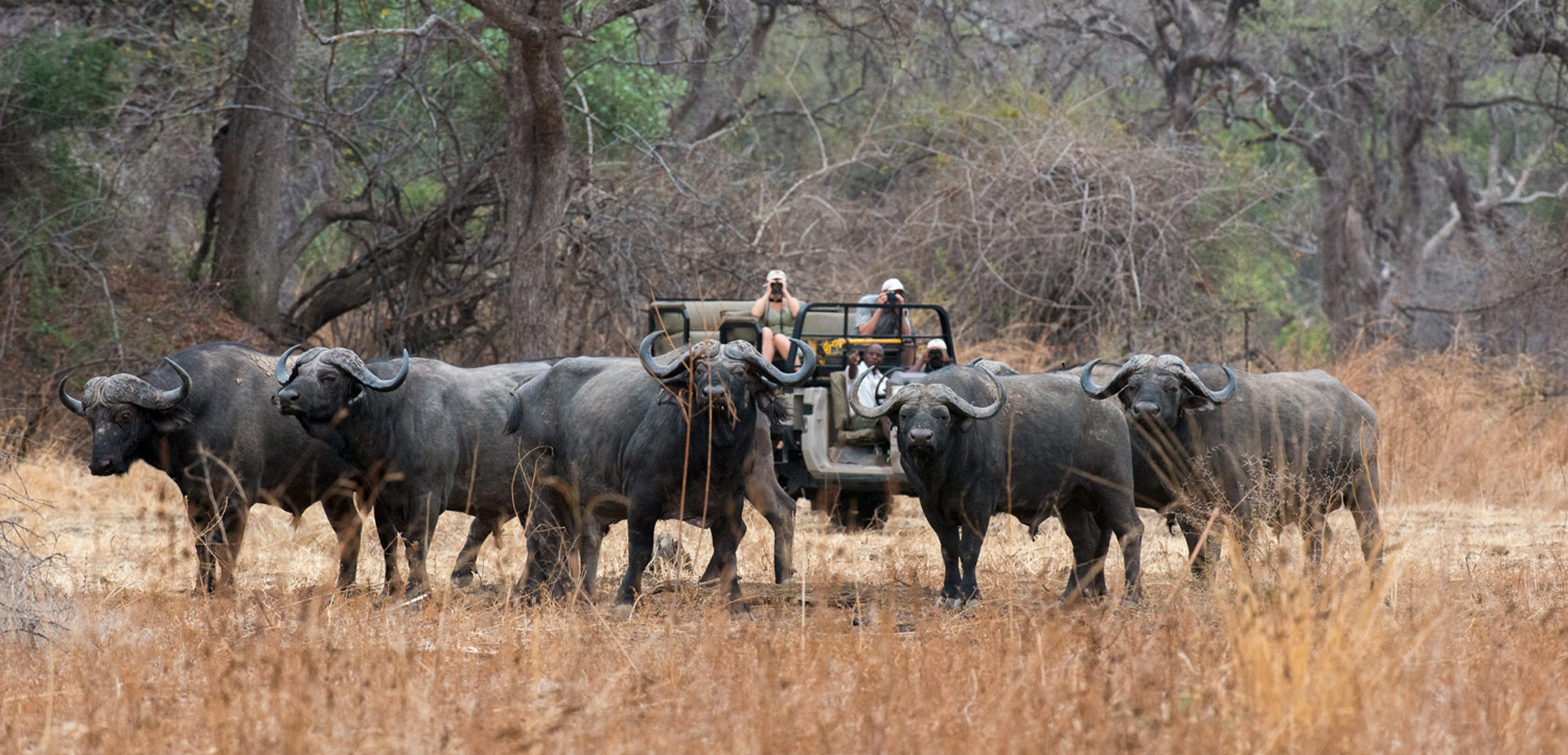 Tafika Camp en Luangwa Valley