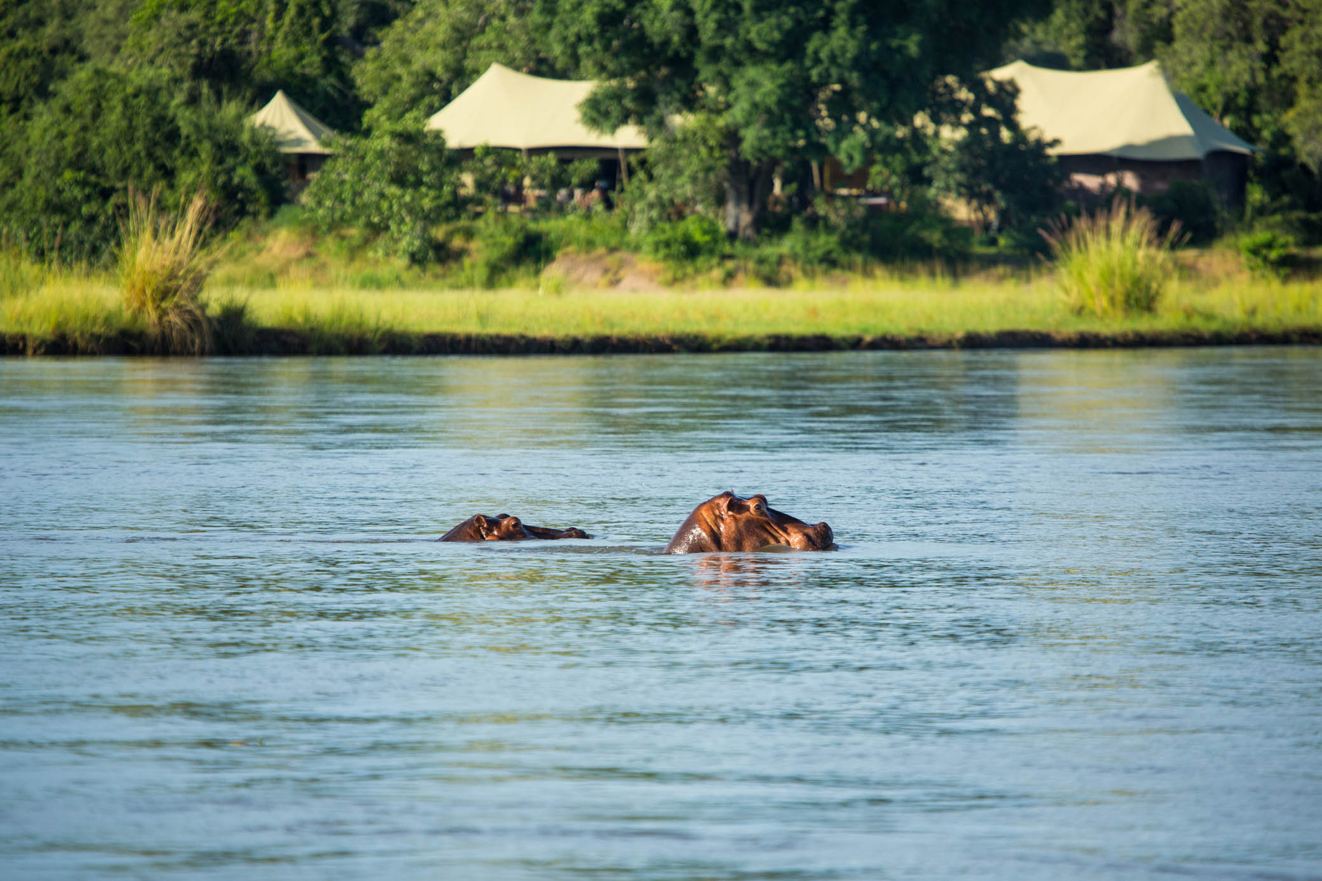 Tembo Plains Camp en Mana Pools