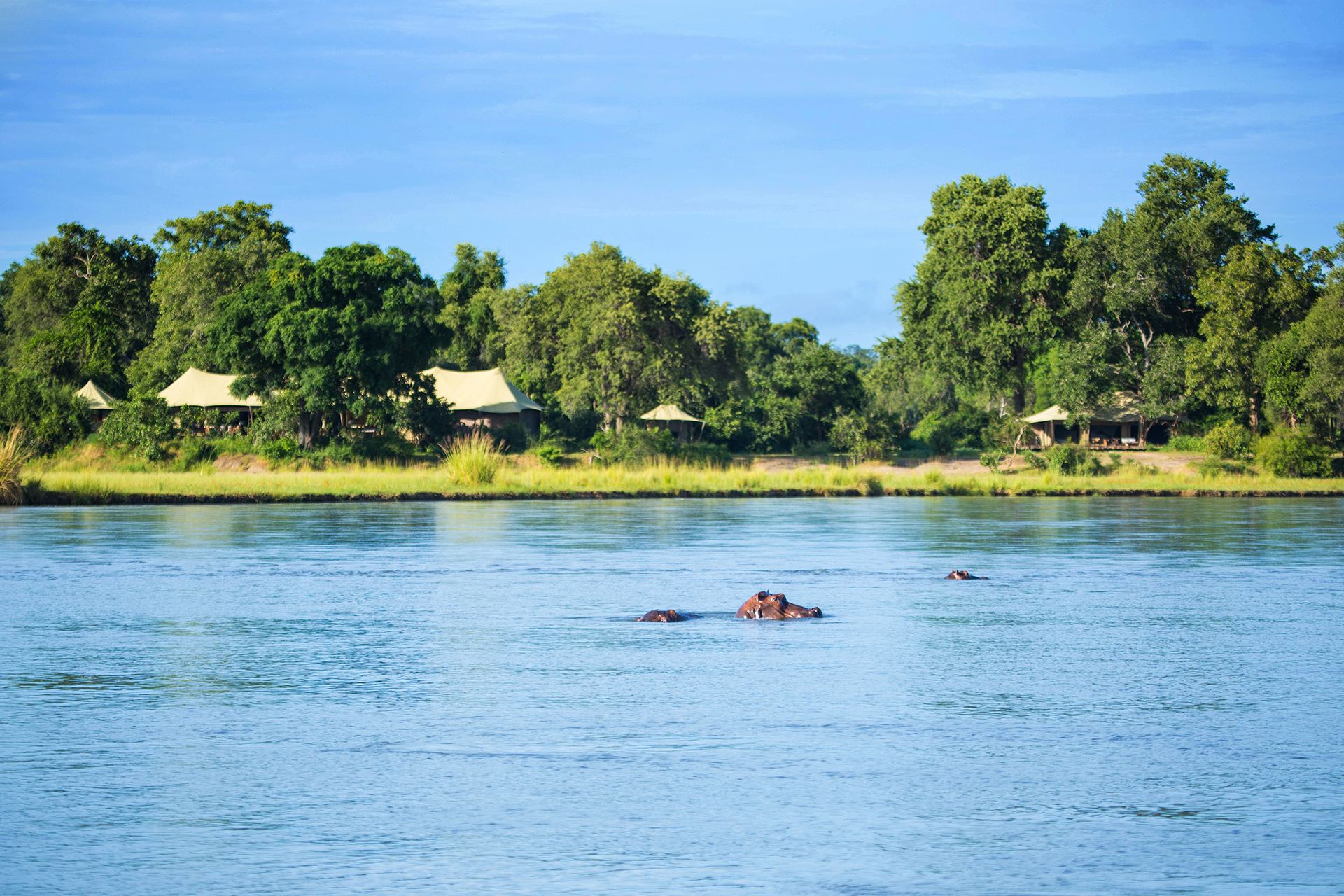 Tembo Plains Camp en Mana Pools