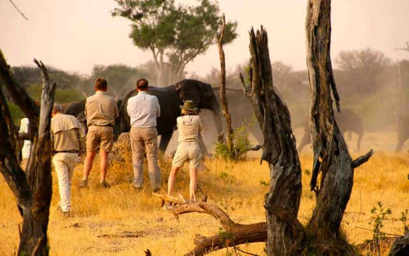 The Hide en Hwange