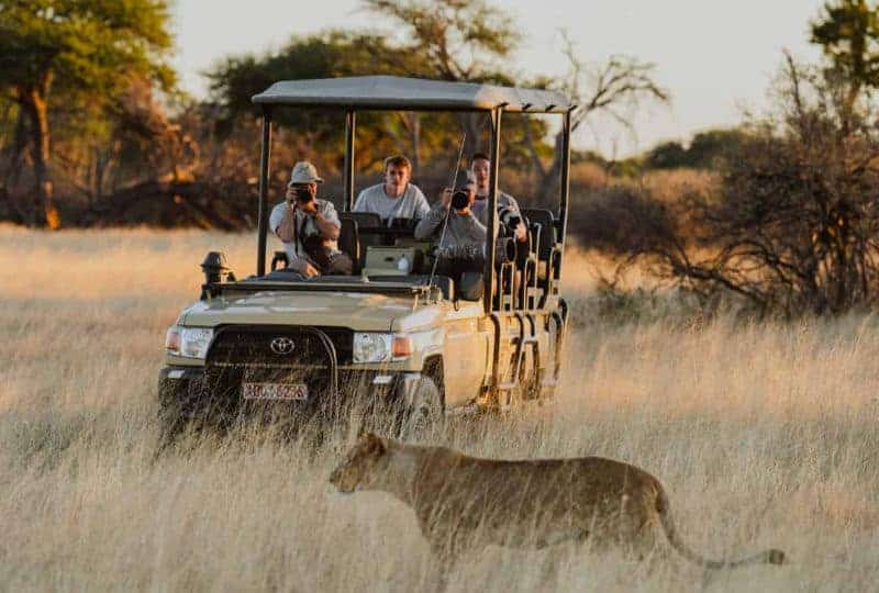 The Hide en Hwange