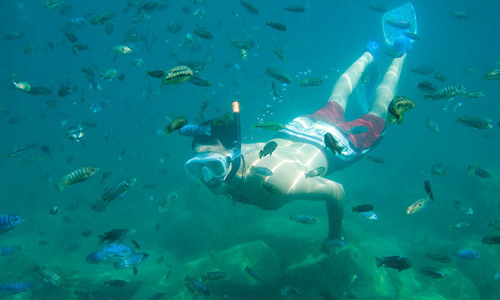 Lago Malawi | LAT.40