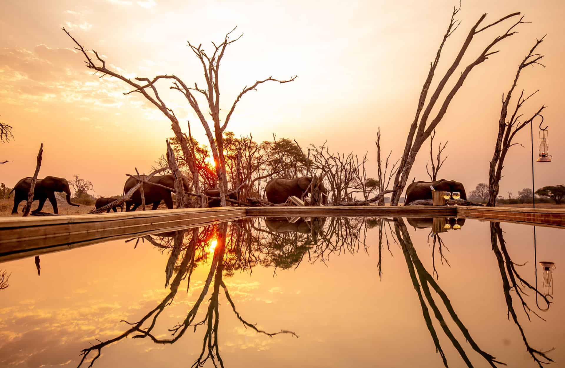 The Private Hide en Hwange