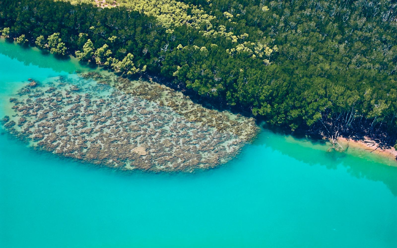 Tiwi Island Retreat en Islas Tiwi