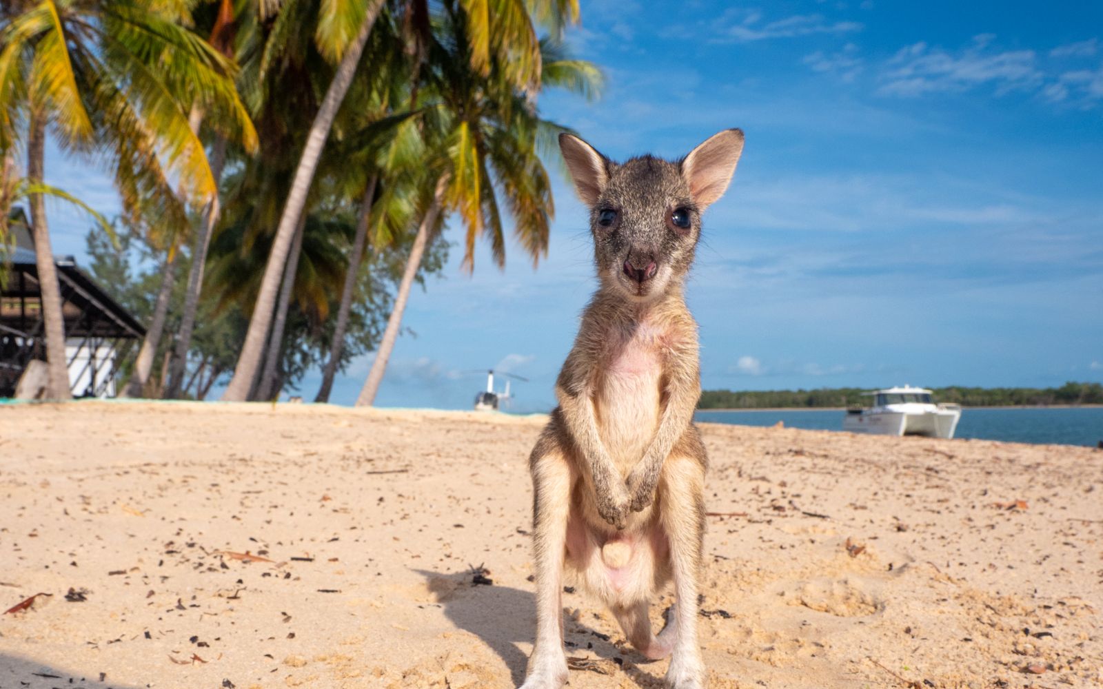 Tiwi Island Retreat en Islas Tiwi