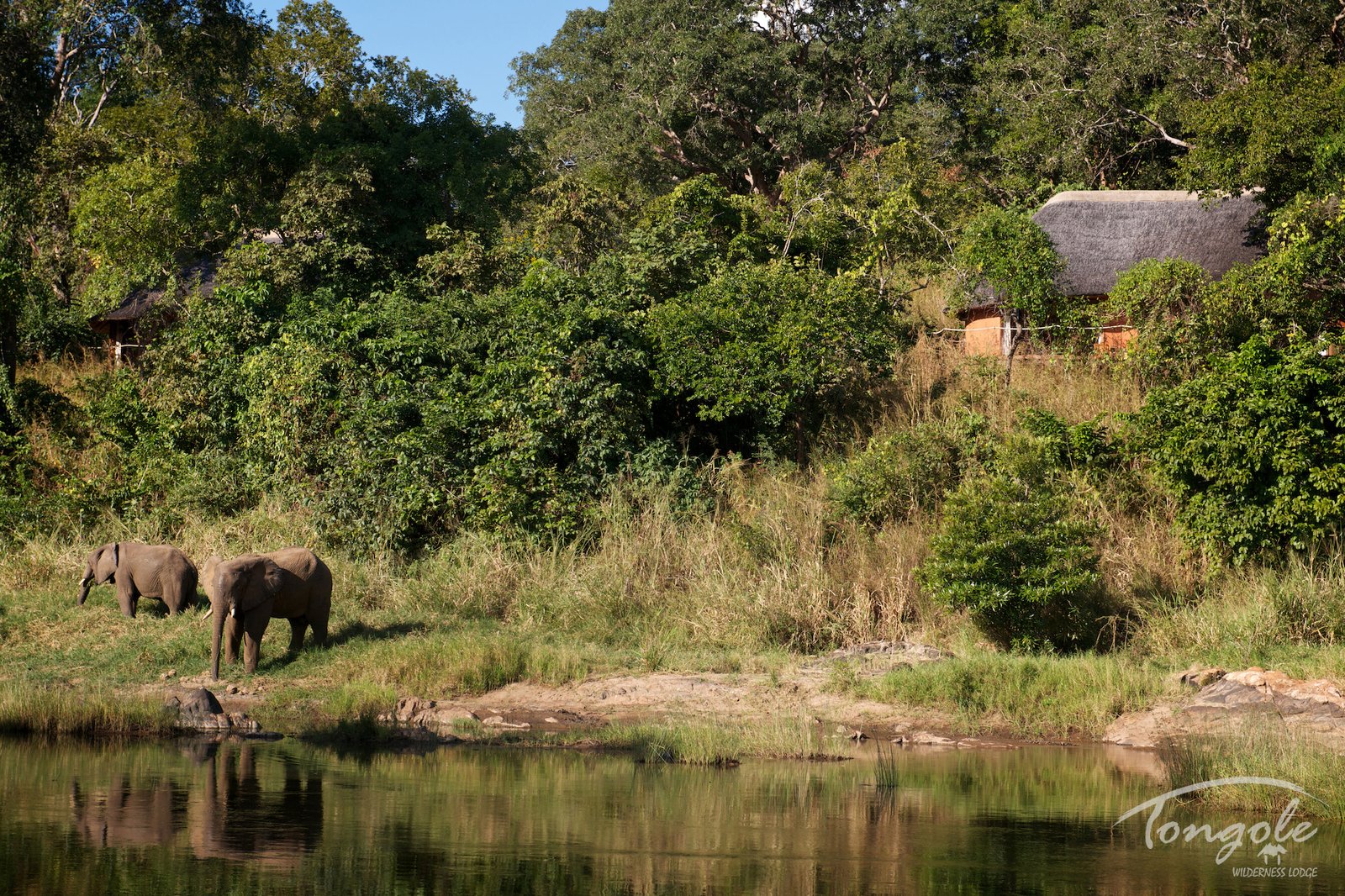 Tongole Wilderness Lodge en Reserva de Vida Silvestre de Nkhotakota