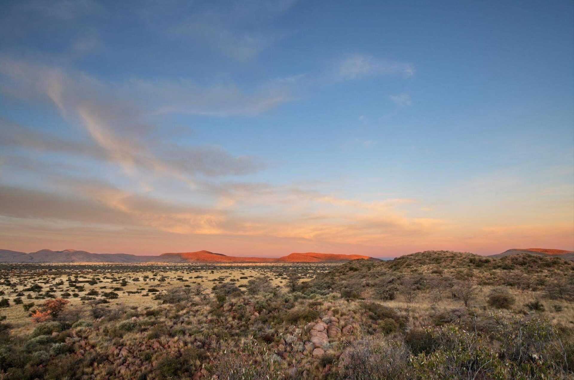 Tswalu Tarkuni en su destino