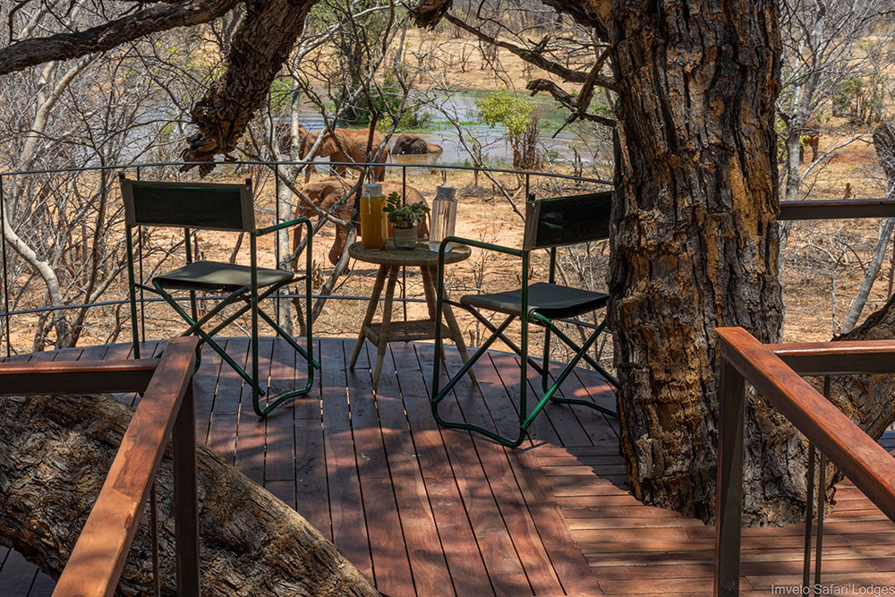 Tum Tum Treehouse Lodge en Hwange