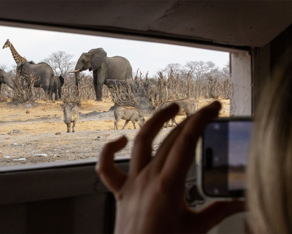 Tum Tum Treehouse Lodge en Hwange