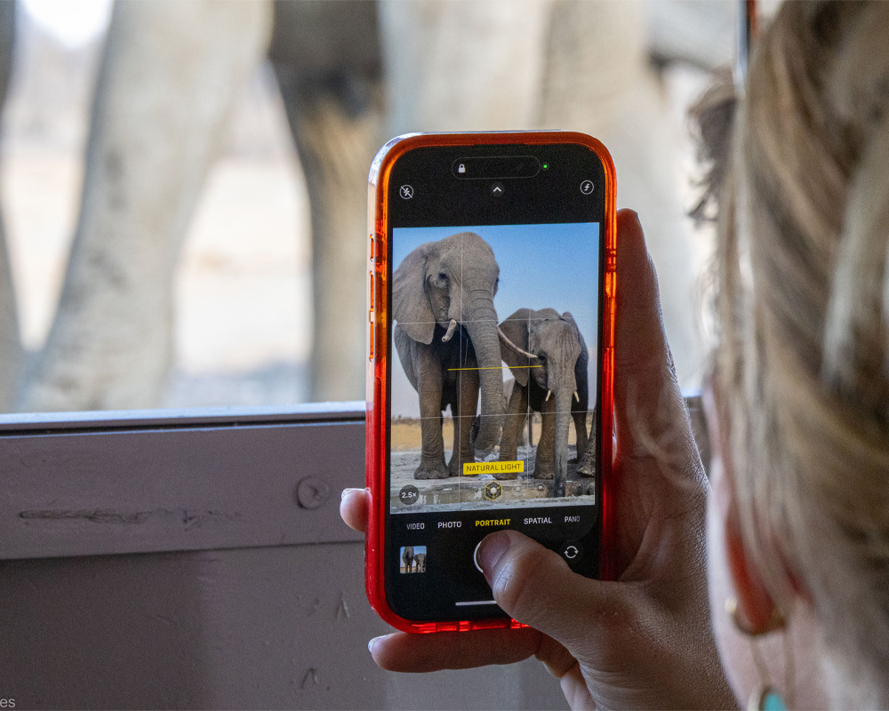 Tum Tum Treehouse Lodge en Hwange