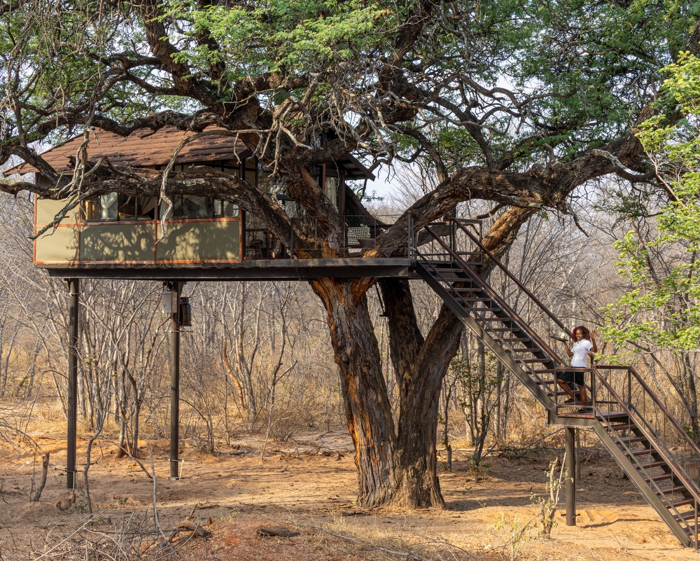 Tum Tum Treehouse Lodge en Hwange