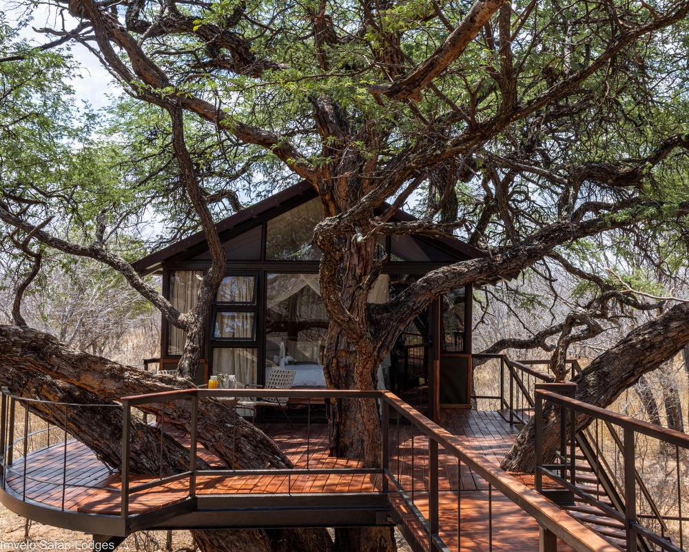 Tum Tum Treehouse Lodge en Hwange