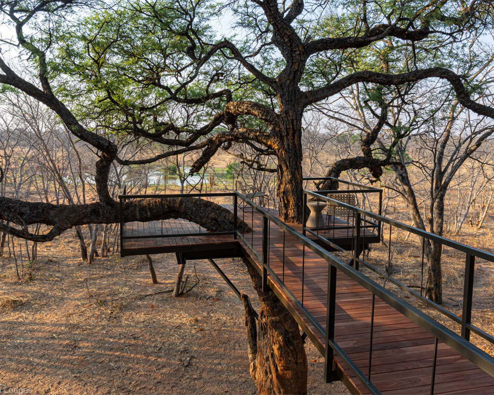 Tum Tum Treehouse Lodge en Hwange
